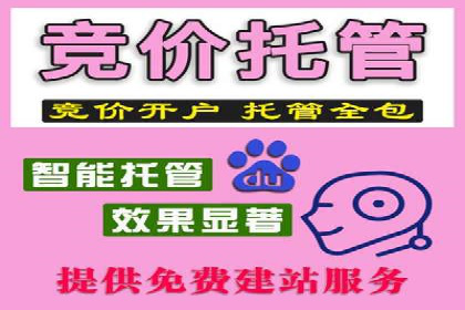 SEM代理助力品牌：案例解析，优化策略全揭秘